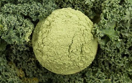 Bowl of Green Kale Powder on a Bed of Kale Leavesの写真素材