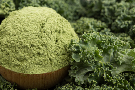 Bowl of Green Kale Powder on a Bed of Kale Leavesの写真素材