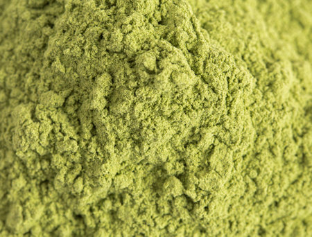 Macro View of Green Kale Powderの写真素材