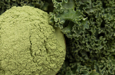 Bowl of Green Kale Powder on a Bed of Kale Leavesの写真素材