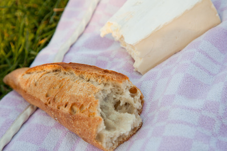 Baguette and brie cheese on picnic blanketの写真素材