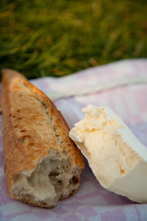 Baguette and brie cheese on picnic blanket.の写真素材