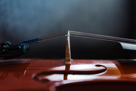 Close up of a violinの写真素材