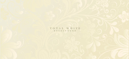 White floral background. Luxury pattern, flowers silhouette decoration. Vector template for brochure cover, invitation template, wedding card, elegant coupon.のイラスト素材