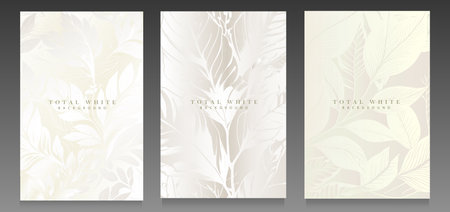 Luxury white cover collection. Elegant foliage on gradient background for invitation, wedding card, beauty and purity concept.のイラスト素材