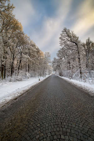 A street without vehicles and people with freshly fallen snow.の写真素材