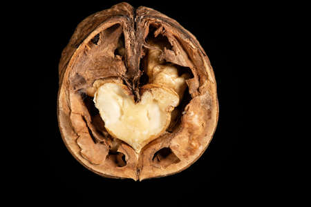 A fresh walnut in the shell on a deep black surface.の写真素材