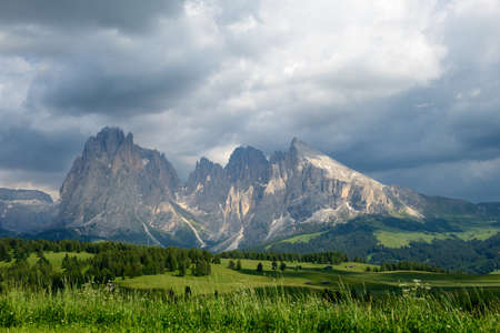 A summer mountain panorama with a blue sky and a few clouds on the Seiseralm in South Tyrol.