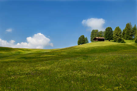A small alpine hut on a gently sloping green meadow with a bright blue sky and a few fleecy clouds.