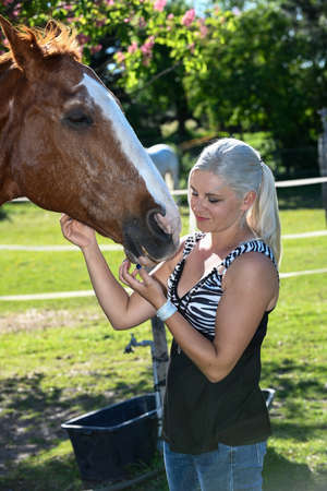 A strong brown horse interacts with owner in a very familiar manner.の写真素材