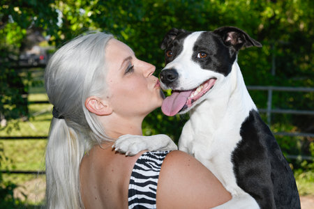 A cute hugged dog is hugged and get a loveful kiss from his female owner.の写真素材