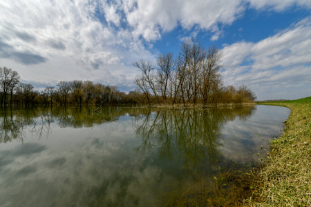 After a flood in the Lonjsko Polje National Park in Croatia.の写真素材