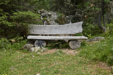 Rustic wooden benchの写真素材