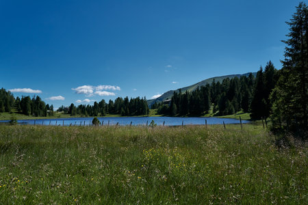 Small summery flower meadow with lakeの写真素材