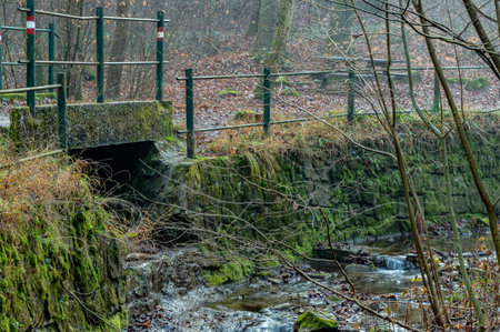 A small stream in the forest with a moss-covered boundary wall and a small bridge.の写真素材