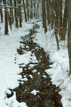 In a forest covered with fresh snow, a small stream meanders between the trees.Small brook in winterの写真素材