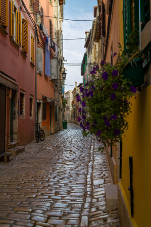 A narrow cobbled alley shortly after sunrise.の写真素材