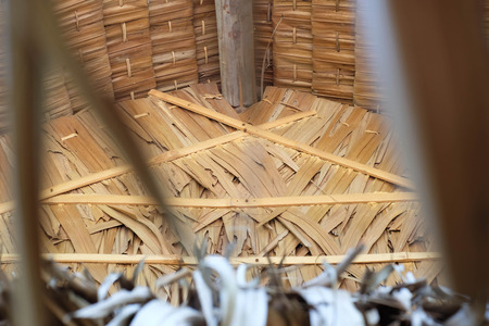 Thatched roofの写真素材