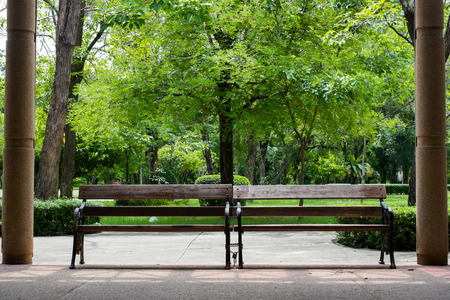 Benches in the green parkの写真素材