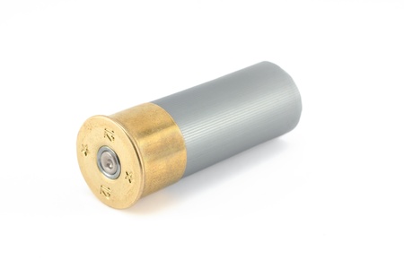 Shotgun Shell