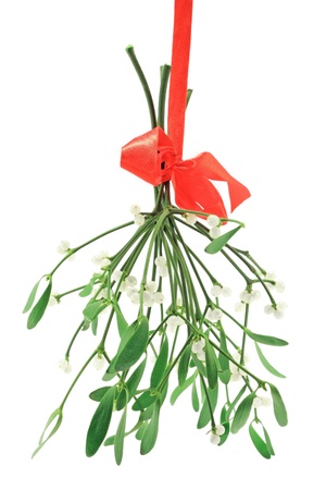 Close-up of a bunch of mistletoe (Viscum album)の写真素材