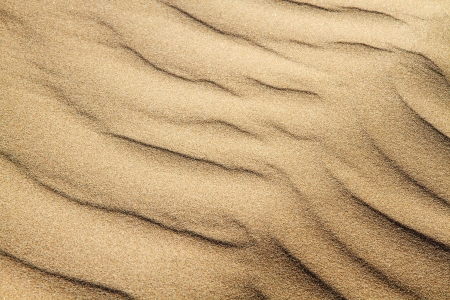 sand backgroundの写真素材
