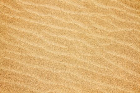 Sand backgroundの写真素材