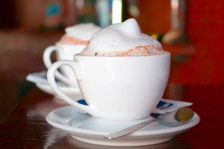 Two cappuccino cups with magnificent milk foam and cinnamon dressing