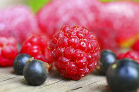 Raspberries and black currants close-up (Shallow DOF)