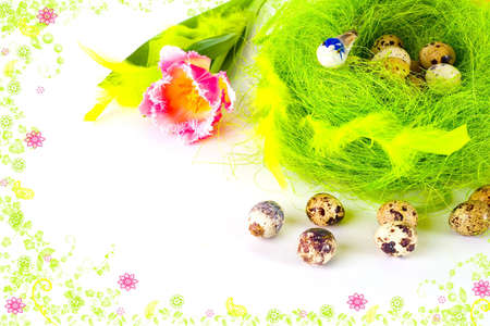 A card of easter eggs in the nest framed by rendered flowers