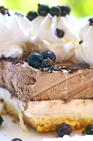 Ice-cream cake with black currants close-up