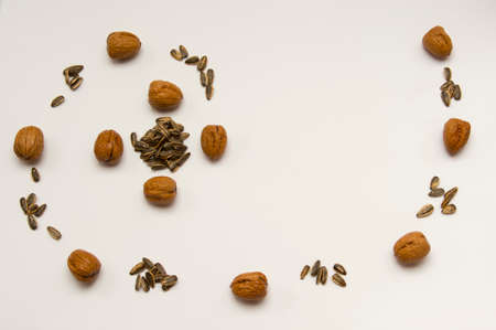 Nuts and rod in composition of succession aurea, on white background