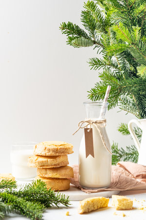 Freshly baked homemade gingerbread cookies. Christmas and New Year celebration traditionsの写真素材
