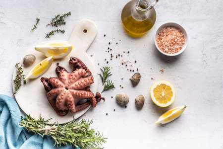 A mix of seafood on a plate. Fish, octopus, squid, shrimp, snails, lemon and herbs on a white background.の写真素材