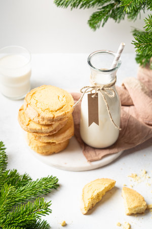 Freshly baked homemade gingerbread cookies. Christmas and New Year celebration traditionsの写真素材