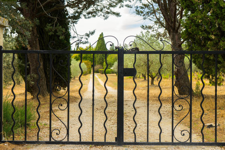 Wrought iron gate opening to rustic tree-lined pathway in countrysideの写真素材