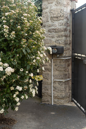Black mailbox on stone wall with blooming bush. High quality photoの写真素材
