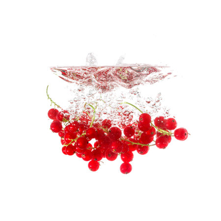 Currants splash on water, isolated on white background. Use for fresh drinks advertising.の写真素材