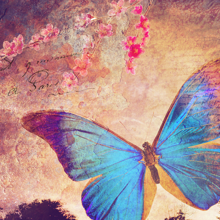 Blue butterfly background, old paper design, postcard, printable on canvas, good for scrapbookingの写真素材