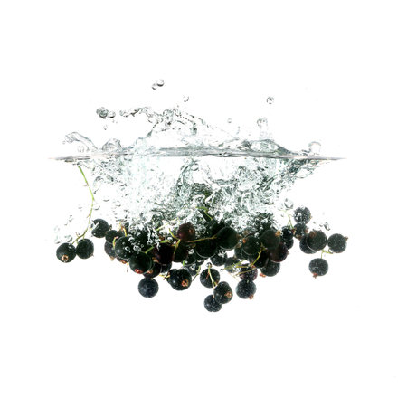 Blackcurrants splash on water, isolated on white background. Use for fresh drinks advertising.の写真素材