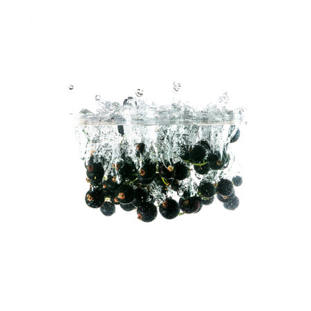 Blackcurrants splash on water, isolated on white background. Use for fresh drinks advertising.の写真素材
