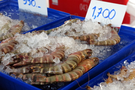 fresh seafood at the marketの写真素材