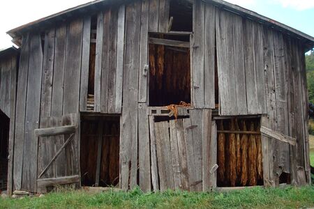Tobacco Barnの写真素材