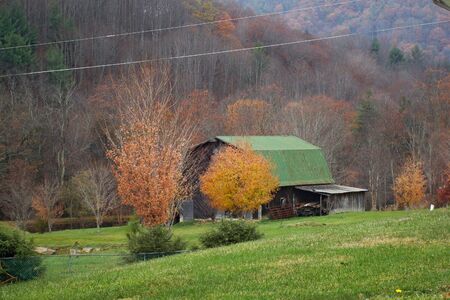 Green Tin Roof Barn Scene