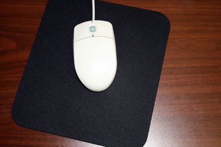 Mouse