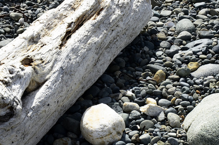 An image of a driftwood log on a rocky shore.の写真素材