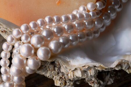A close up view of a string of pearls on an oyster shell with a bar of homemade oatmeal soap.の写真素材