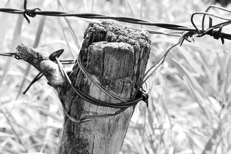 Old Weathered Fence Postの写真素材