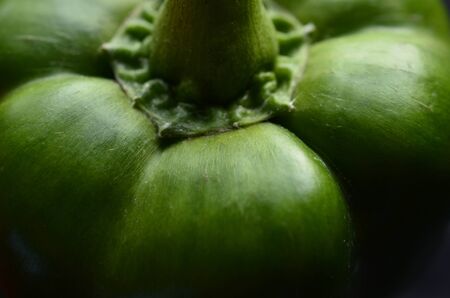 Green Pepper Abstract