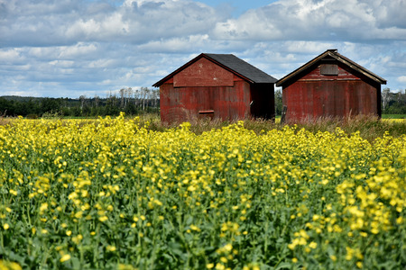 Two Red Wooden Granariesの写真素材